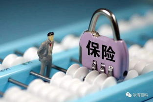 新到五千萬保險(xiǎn)經(jīng)紀(jì)牌照轉(zhuǎn)讓，含網(wǎng)絡(luò)銷售資質(zhì)