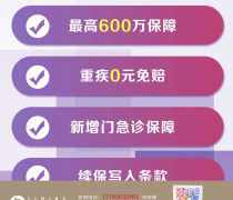 延安保險經紀服務 黎明保險經紀的價格、供應商與項目解析